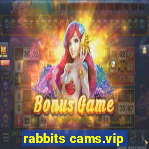 rabbits cams.vip